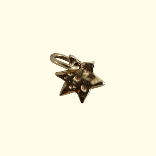 Gold star charm