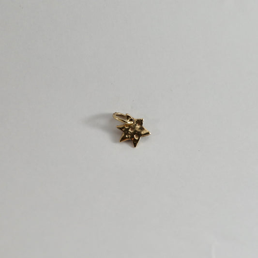 Gold star charm