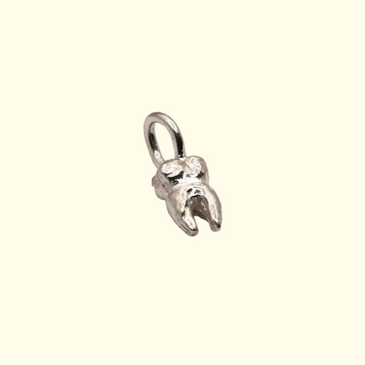 Tooth charm